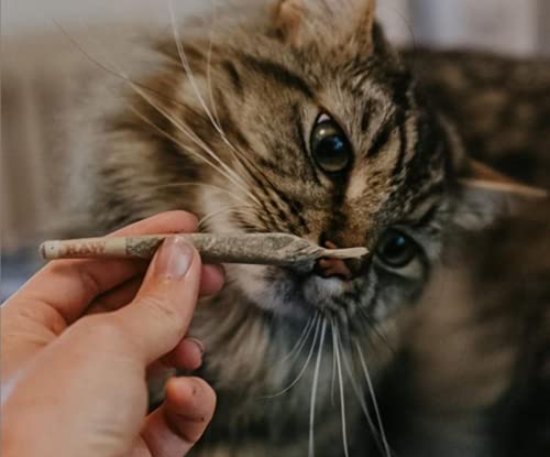 Meowijuana BirthJay Party Sized Catnip Joints Cat Treats - 6 Count  