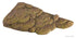 Exo Terra Turtle Bank Reptile and Turtle Décor - Large