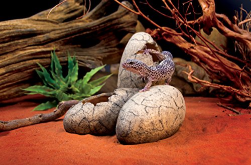 Exo Terra Dino Egg Fossil Reptile Décor Ornament