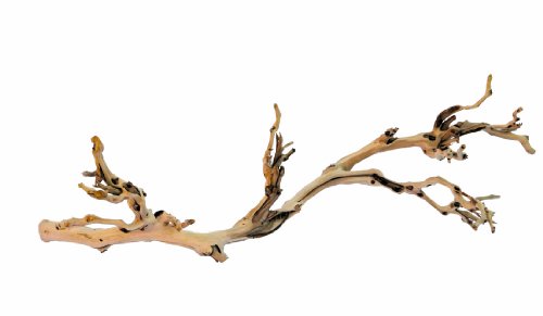 Exo Terra Forest Branch Reptile Terrarium and Aquarium Décor - Large