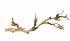 Exo Terra Forest Branch Reptile Terrarium and Aquarium Décor - Large