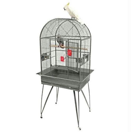 A&E Cage Company Garden Fun Half Coconut Suet Wild Bird Treats - 6 Count