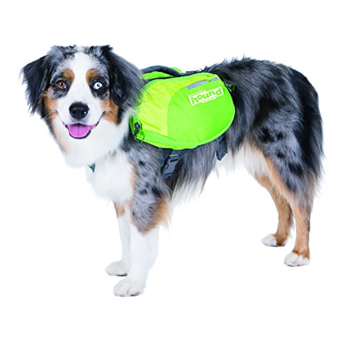 Outward Hound Kyjen DayPak Backpack Travel Dog Backpack and Harness - Green - Medium