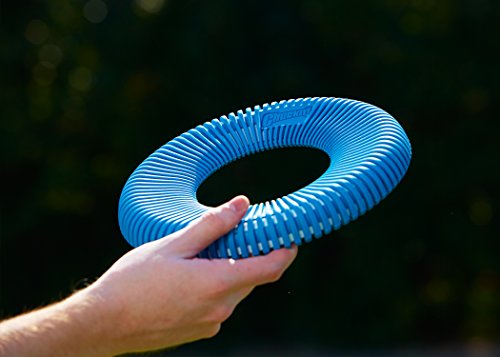 Chuckit! Petmate Rugged Flyer Disc Fetch TPR Floating Dog Toy - Assorted Color - Large - 11.4 Inch