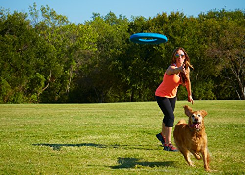 Chuckit! Petmate Rugged Flyer Disc Fetch TPR Floating Dog Toy - Assorted Color - Large - 11.4 Inch