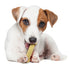 Nylabone Original Bone Flexi-Chew Moderate-Chew Chicken Flavored Chew Dog Toy - Small/Regular