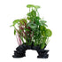 Fluval AquaLife Green Lysimachia Mix Plastic Plant Aquarium Décor - 8 Inch