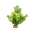 Fluval AquaLife Green Cabomba Plastic Plant Aquarium Décor - 8 Inch