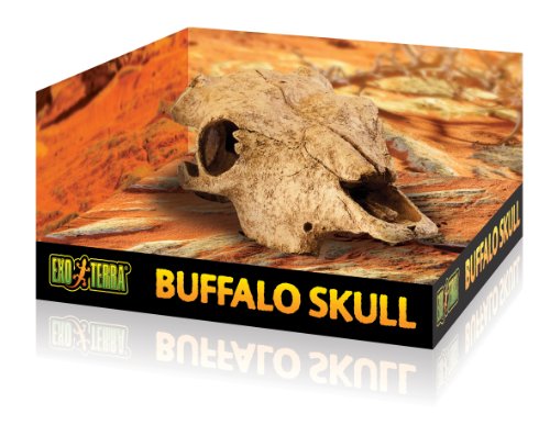 Exo Terra Buffalo Skull Aquarium and Terrarium Décor 