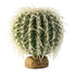 Exo Terra Barrel Cactus Reptile Terrarium Décor Plant - Medium