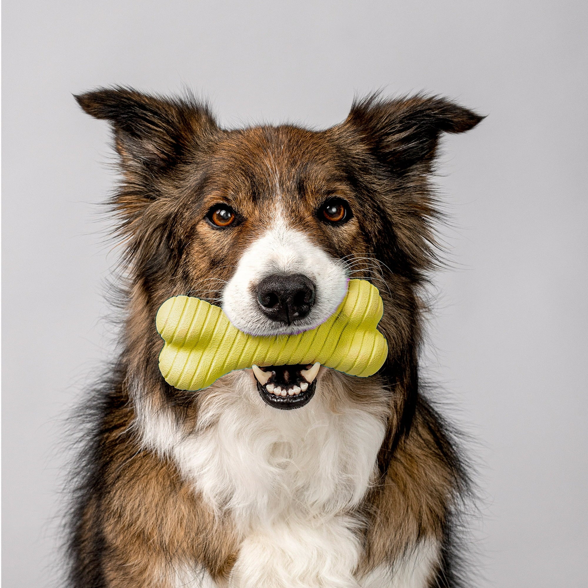 Playology Durable Dual-Layered Bone Chicken Scented Fetch and Chew Rubber Dog Toy - Yellow