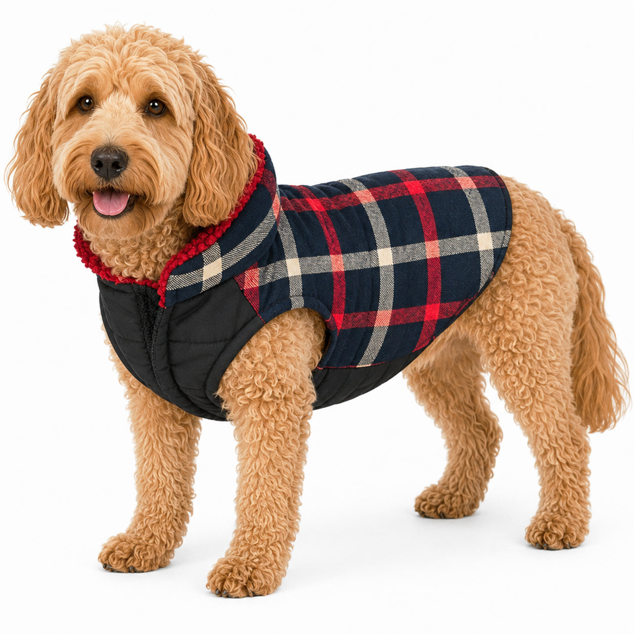 Pet Life ® 'Allegiance' Classical Insulated Plaid Fashion Dog Jacket X-Small Blue And Red Plaid