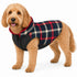 Pet Life ® 'Allegiance' Classical Insulated Plaid Fashion Dog Jacket X-Small Blue And Red Plaid