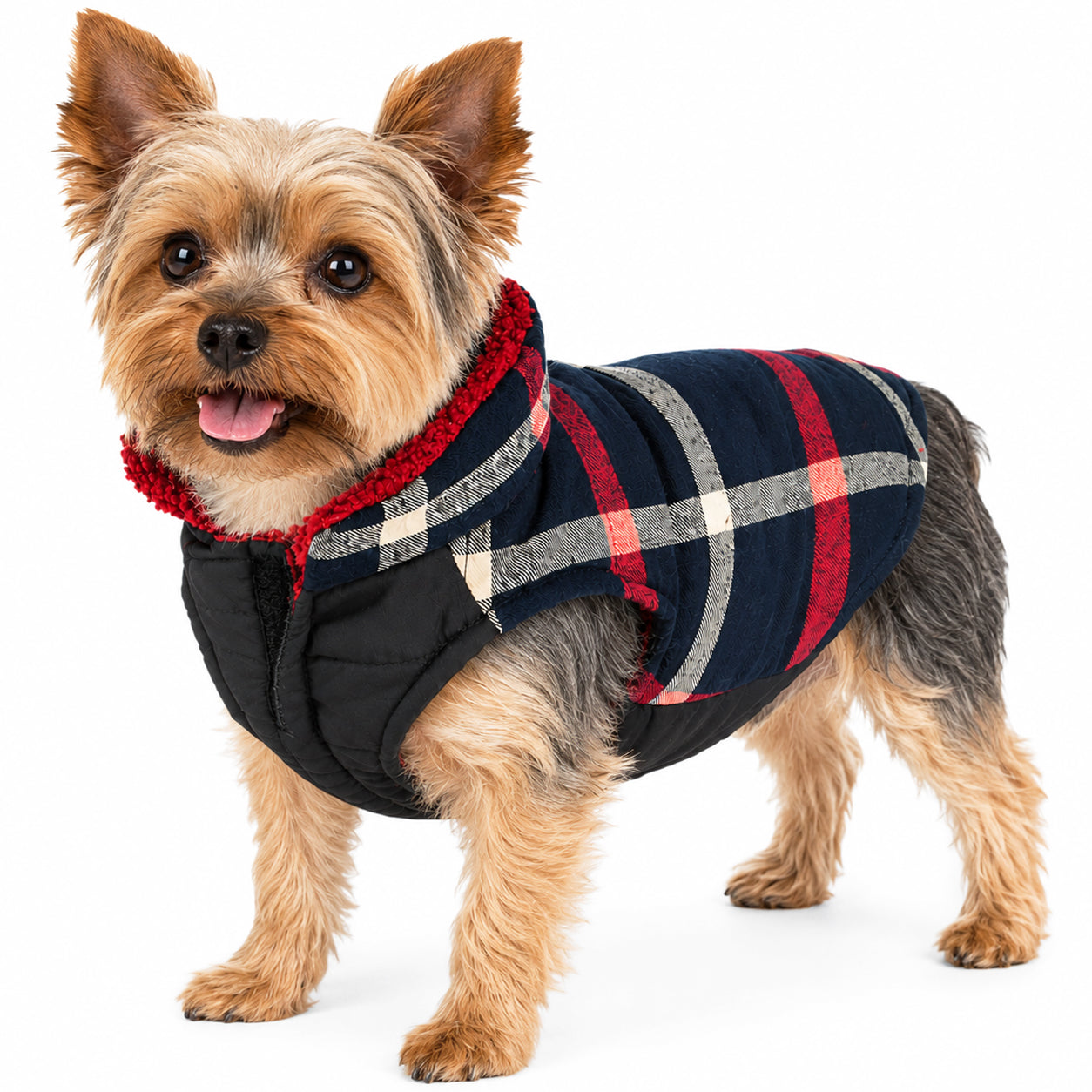 Pet Life ® 'Allegiance' Classical Insulated Plaid Fashion Dog Jacket