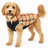 Pet Life ® 'Allegiance' Classical Insulated Plaid Fashion Dog Jacket X-Small White And Red Plaid