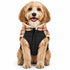 Pet Life ® 'Allegiance' Classical Insulated Plaid Fashion Dog Jacket