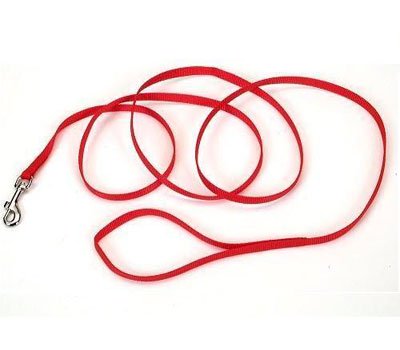 Coastal Single-Ply Nylon Dog Leash - Red - L:72 X W:3/4 Inch