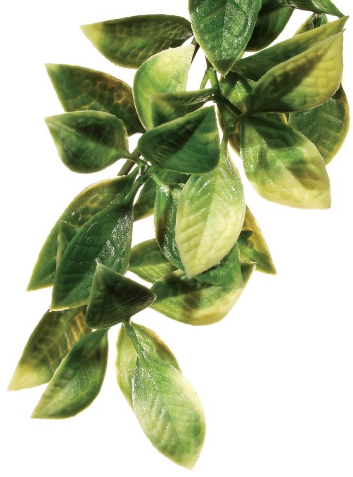 Exo Terra Jungle Mandarin Plastic Reptile Terrarium Plant - Large
