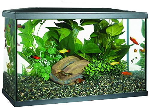 Hagen Marina LED Glass Aquarium Kit with Power Filter Net and Thermometer - 10 Gallons - L:20 X W:10 X H:12.5 Inches
