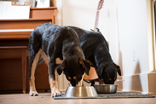 Nulo Freestyle Grain-Free Trim Healthy Weight Cod and Lentils Adult Dry Dog Food