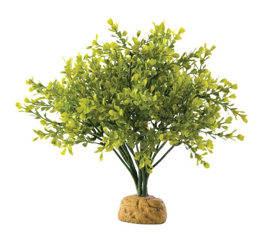 Exo Terra Boxwood Bush Aquarium and Terrarium Décor Plant 