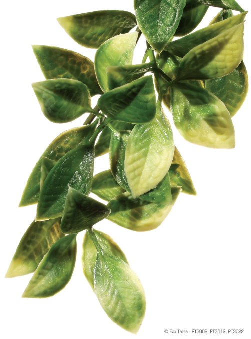 Exo Terra Jungle Mandarin Plastic Reptile Terrarium Plant - Medium
