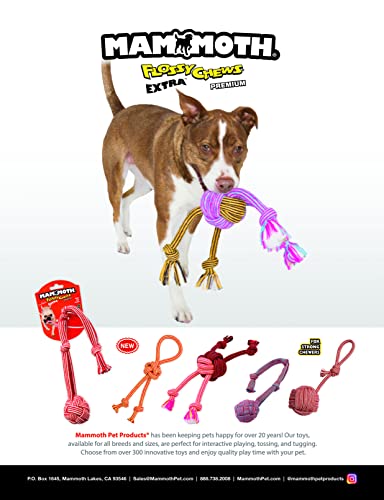 Mammoth Pet Products Extra Floss Webbing Ball and Rope Tug Dog Toy - Small - 2.5 Inch 