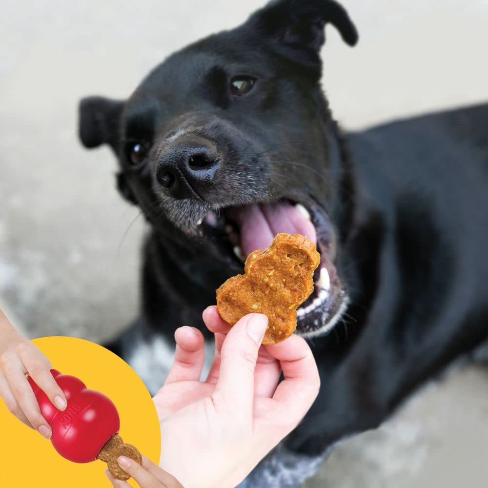 Kong Chicken Flavored Jerky Dog Treats - Medium/Large  