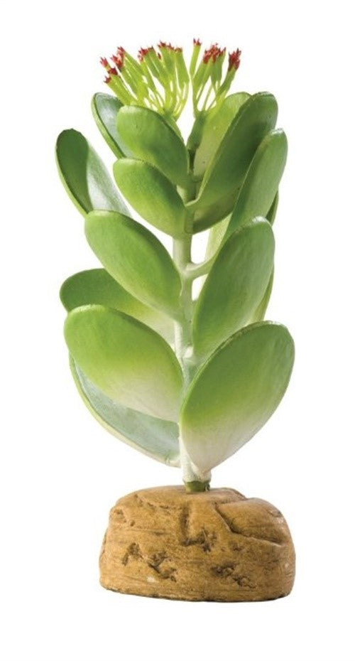 Exo Terra Desert Ground Jade Cactus Terrarium Décor Plant