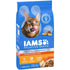 IAMS Healthy Enjoyment Chicken and Salmon Dry Cat Food - 3 Lbs  