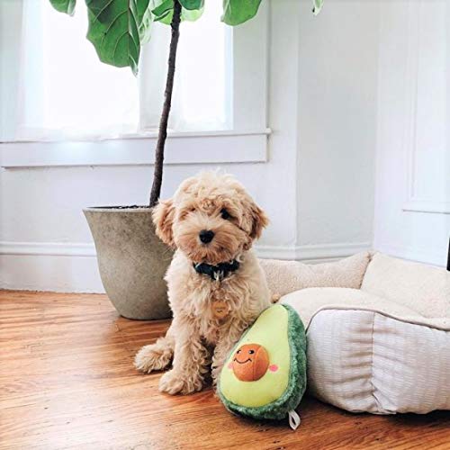 Zippy Paws NomNomz Avocado Squeak and Plush Dog Toy  