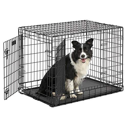 Midwest Lifestages Metal Folding Single Door Dog Crate with Divider - 36" X 24" X 27" I...