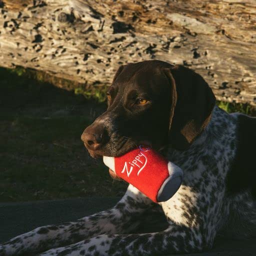 Zippy Paws Squeaky Zippy Cola Beverage Can Squeak and Plush Dog Toy - Small  