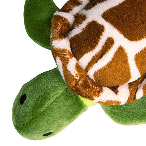 Snugarooz Baby Shelldon Squeak and Crinkle Plush Dog Toy - 5" Inches  