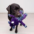 Kong Jungle Jamz Phino Crinkle Rattle and Squeaking Plush Dog Toy - Medium/Large