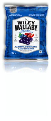 Wiley Wallaby Blueberry and Pomegranate Licorice Real Fruit Soft and Chewy Dog Treats - 7.05 Oz - Case of 12