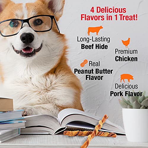 Healthy Hide Salix Good N' Fun Triple Flavor Twists Beef Chicken and Pork Natural Dog Chews - Medium - 10 Pack  