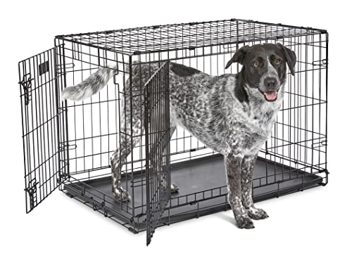 Midwest Lifestages Metal Folding Single Door Dog Crate with Divider - 30" X 21" X 24" I...