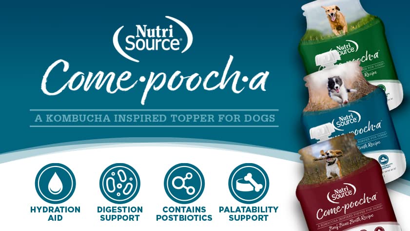 Nutrisource Come-Pooch-a Turkey Broth Dog Food Topper - 12 Oz  