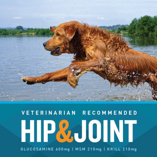 VETIQ Hip and Joint Chicken Flavored Soft Chew Dog Supplements - 60 Count  