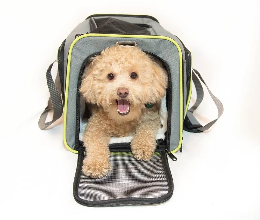 Wigzi LED Lighting Dual-Side Expandable Travel Airline Approved Pet Carrier  