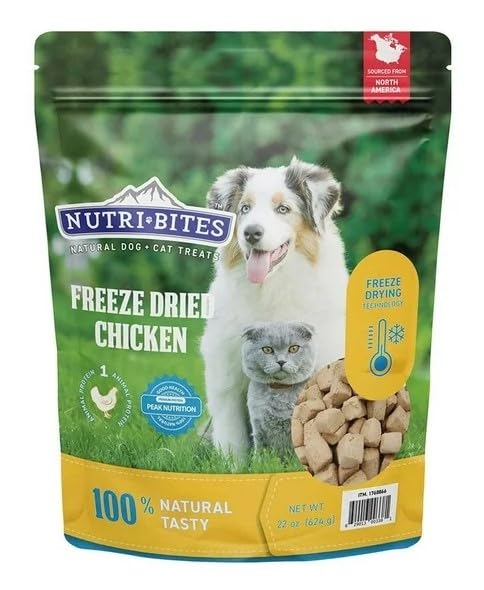 BRAVO! Bonus Bites Freeze-Dried Chicken Breast Dog Treats - 3 Oz  