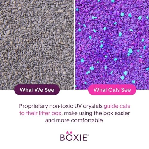 Boxiecat Glo Natural Attractions Dust-Free Odor Control Clumping Clay Kitty Cat Litter