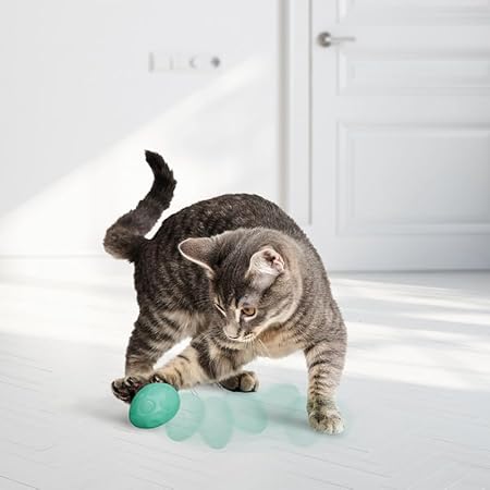 Kong Egg-Shaped and Catnip Infused Rubber Cat Toys - 2 Pack