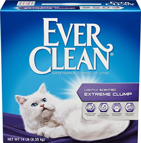 Ever Clean Extra-Strong Scented Cat Litter - 25 Lbs  