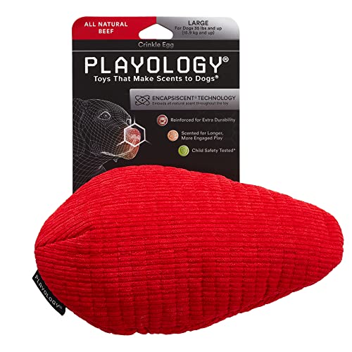 Playology Beef Scented Egg Crinkle and Plush Dog Toy with Encapsiscent Technology - Large  