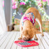 Innovative Pet Lickimat Slowmo Combo Slow Feeding Mat for Dogs - Red  