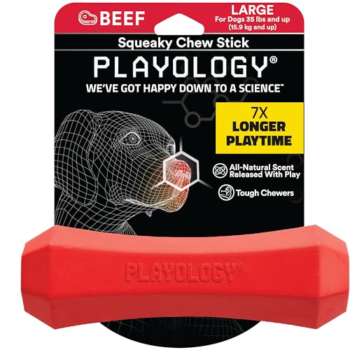 Playology Beef Scented Squeaky Chew Stick Floating Rubber Dog Toy with Encapsicent Tech - Large  