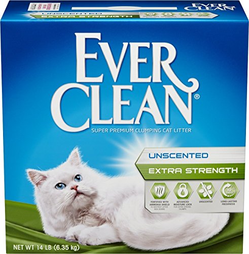 Ever Clean Extra Strong Scented Cat Litter - 14 Lbs - Case of 3  