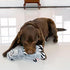 Kong Jungle Jamz Gorilla Crinkle Rattle and Squeaking Plush Dog Toy - Medium/Large